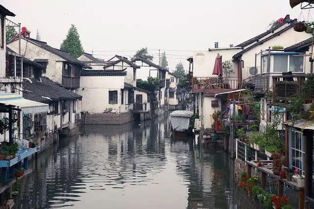 数码宝贝究极对决